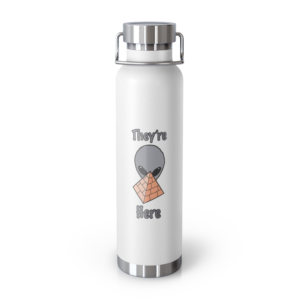 Gray Alien 22oz Vacuum Insulated Bottle